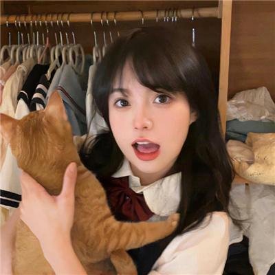 登堂入会